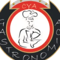 cyagastronomica@prodigy.net.mx
