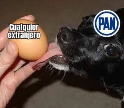 FB_IMG_1663400964439