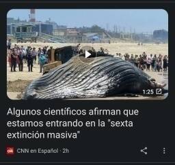 Screenshot_20230601_073722