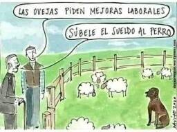 FB_IMG_1693119010012
