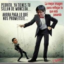 FB_IMG_1700116550617