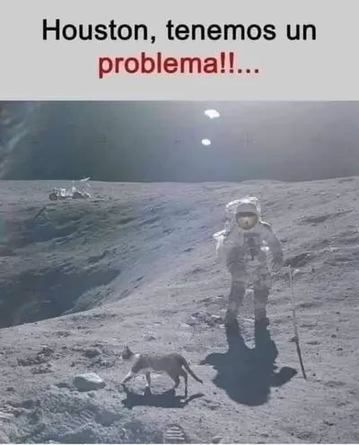 FB_IMG_1704708000418