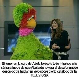 FB_IMG_1707851186912