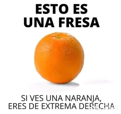 FB_IMG_1721097016587