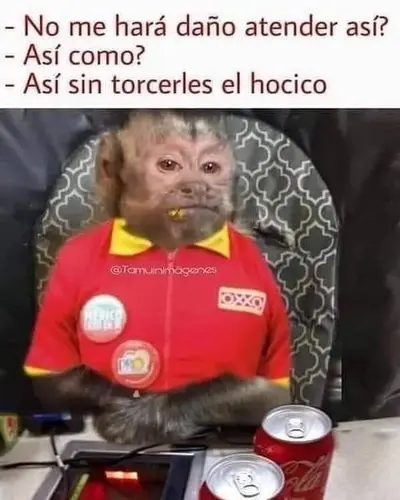 FB_IMG_1665852617218