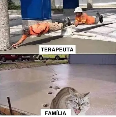 FB_IMG_1677293147404