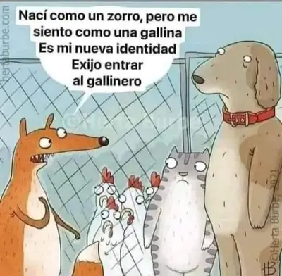 FB_IMG_1677765283374