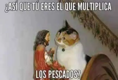FB_IMG_1680580030536