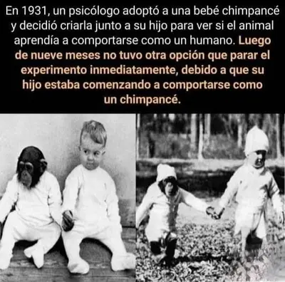 FB_IMG_1680926930588
