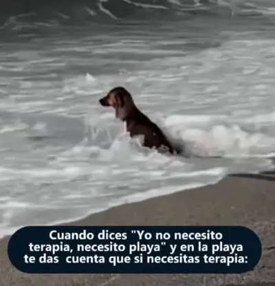 FB_IMG_1681593709027