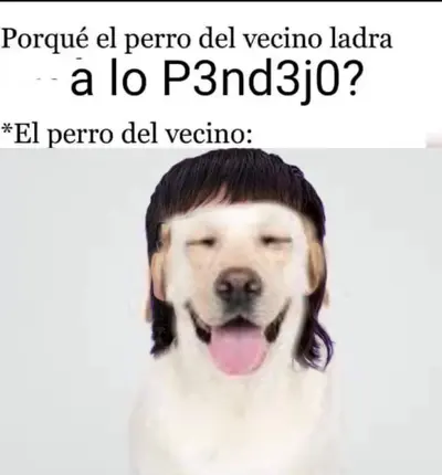 FB_IMG_1692069144427