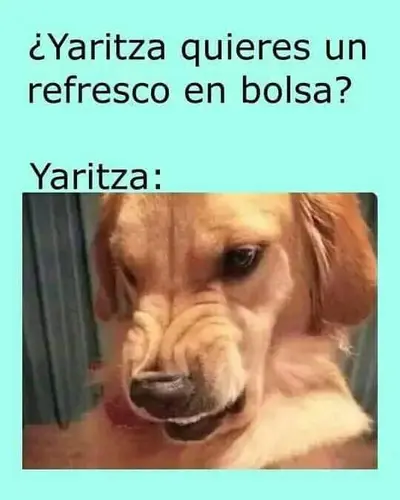 FB_IMG_1693281897627