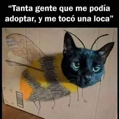 FB_IMG_1698865105683
