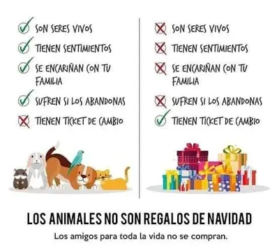 FB_IMG_1703176597313