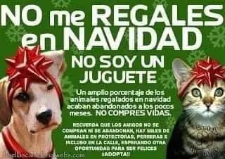 FB_IMG_1703293868219