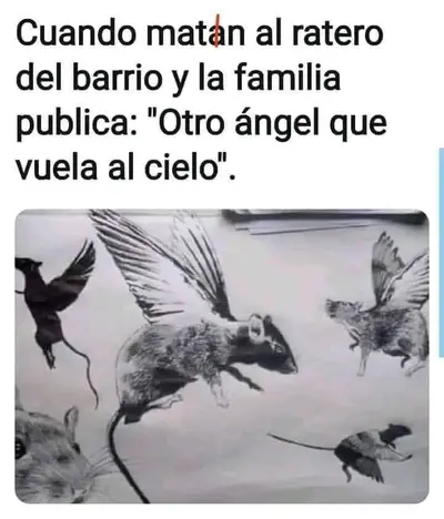 FB_IMG_1705777577973