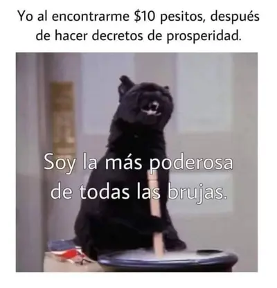 FB_IMG_1706225627456