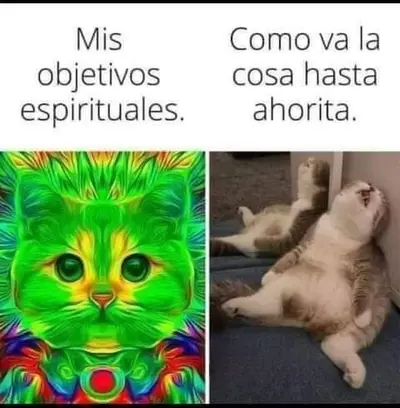 FB_IMG_1706763258610