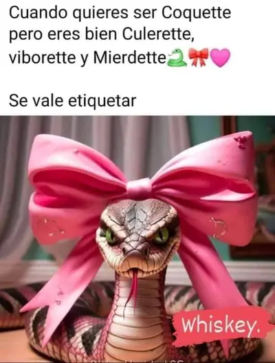 FB_IMG_1707183979433