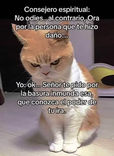 FB_IMG_1709302943250