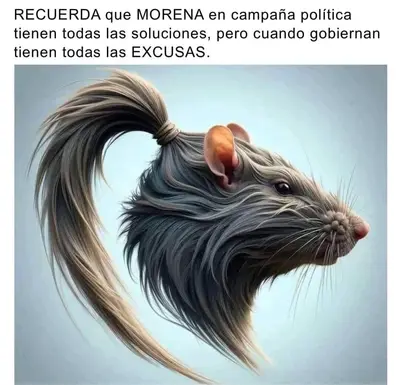 FB_IMG_1714025149557