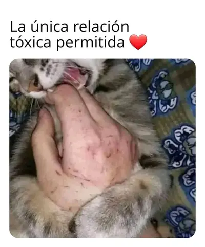 FB_IMG_1720670300598