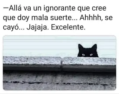 FB_IMG_1721511229888