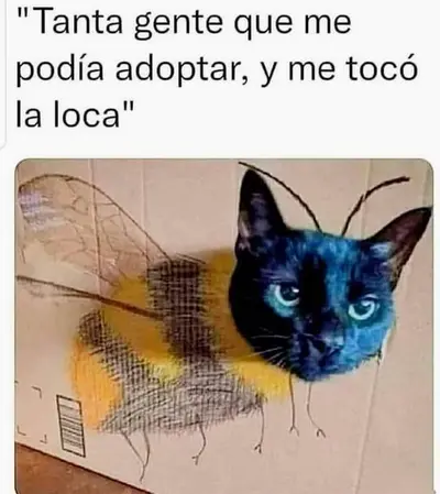 FB_IMG_1728775878989